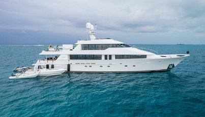 AVALINA For Sale image2