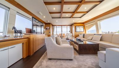 ARION For Sale image11