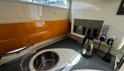Alisma For Sale image25