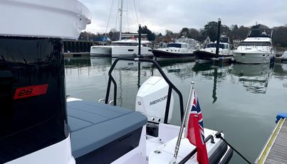 HAYLU For Sale image18