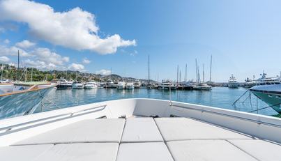 Lady Larisa For Sale image27