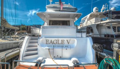Eagle V For Sale image5