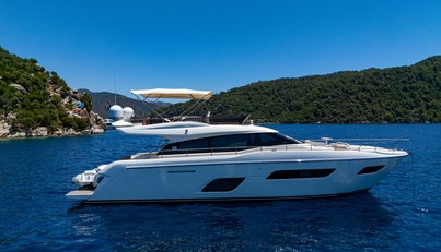 DUDU For Sale image8