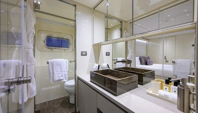 PHOENIX For Sale image93