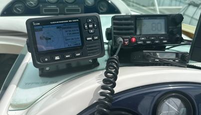 Alisma For Sale image14