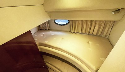 DRAGONFLY For Sale image32