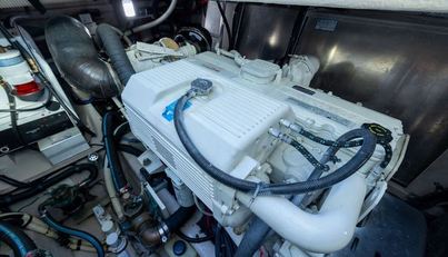 noname For Sale image97