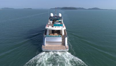 HUMMINGBIRD For Sale image2