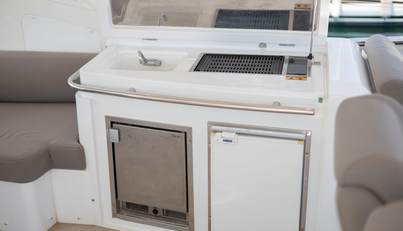 Luna of Chester For Sale image172