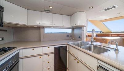 Octopi For Sale image85