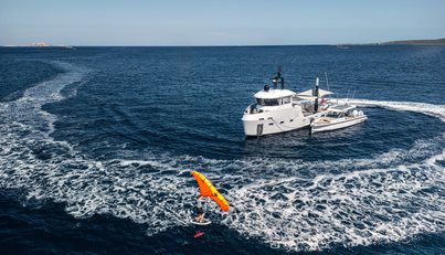 SHADOW For Sale image23