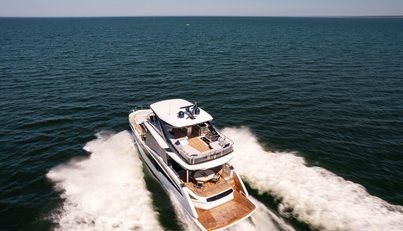 GN620FLY For Sale image6