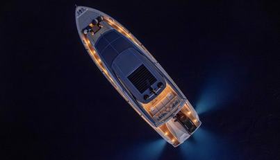 FIREFLY For Sale image17