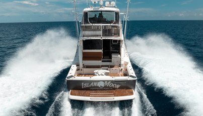 Island Moon For Sale image6