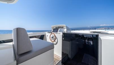 ARION For Sale image38