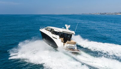 Saw Sea IIII For Sale image8