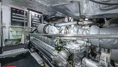 Coal Blooded For Sale image31