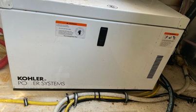 SEAHORSE For Sale image37