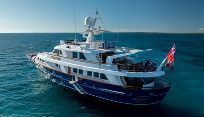 BEOWULF For Sale image5