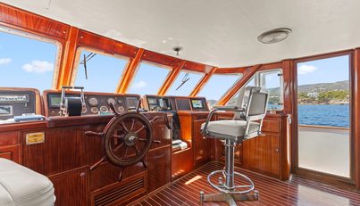Daylami For Sale image18