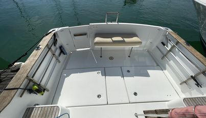 Aquamanda For Sale image31
