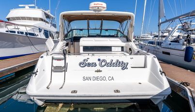 Sea Oddity For Sale image6