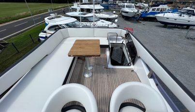 Mollie For Sale image7