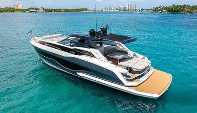 Fin For Sale image11