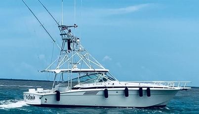 El Caiman For Sale image1