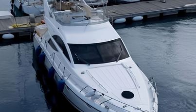 SCARLET For Sale image2