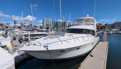 Lone Star For Sale image10