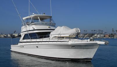 Yacht Z For Sale image13