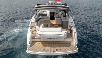 Bozzie For Sale image43