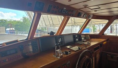 Orion For Sale image31