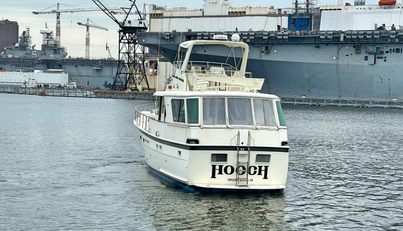 Hooch For Sale image4