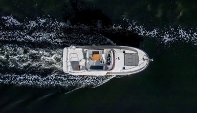 NEVERLAND For Sale image11