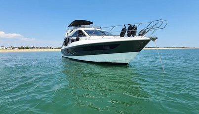 noname For Sale image2