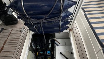 Gracie For Sale image46