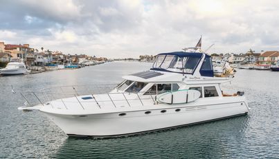 SILVIUS BRABO For Sale image2