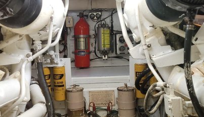 El Caiman For Sale image35