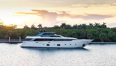 Sofi VI For Sale image1