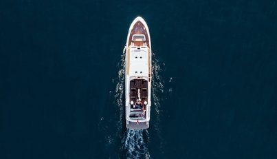 PAPILLON For Sale image32