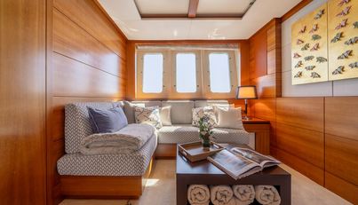 ARION For Sale image15