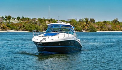 Taramina For Sale image6