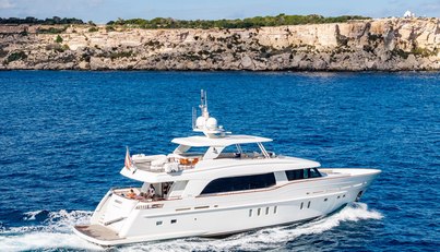 Firefly For Sale image7