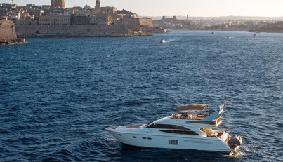 STELLAR II For Sale image6