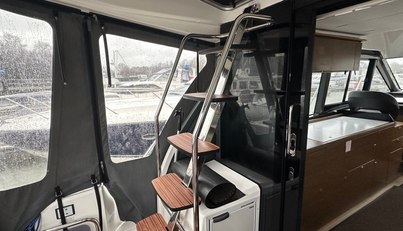 Mollie For Sale image6