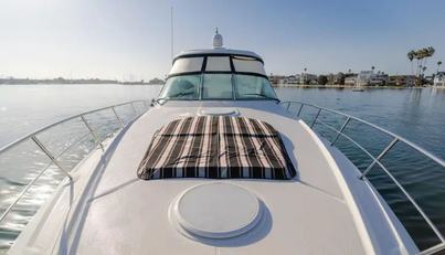 Eurybia For Sale image42