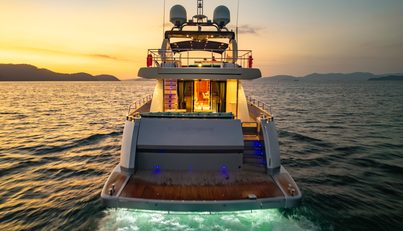 HUMMINGBIRD For Sale image6