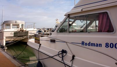 noname For Sale image4